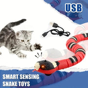 USB Rechargeable Interactive Snake Toy