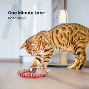 USB Rechargeable Interactive Snake Toy