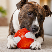 Bacon-Scented Durable Dog Chew Ball