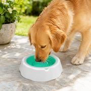Summer Cooling Pet Bowl